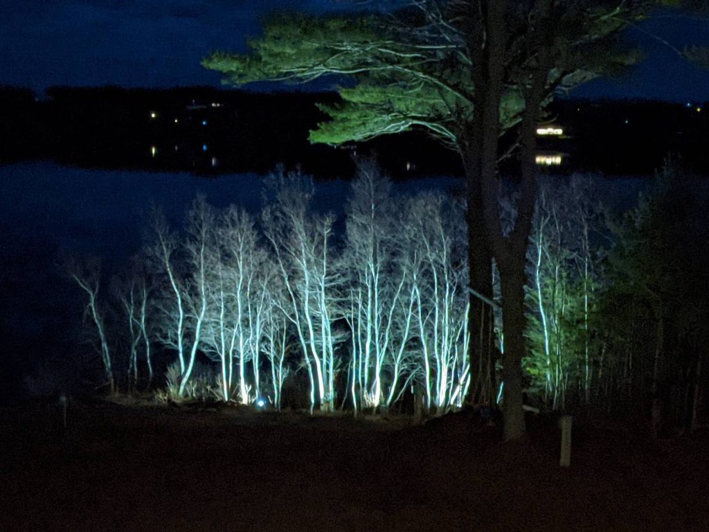 Power East Electric: landscape uplighting